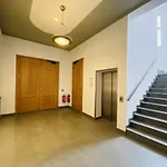 Berringer Aal, An Der Promenade